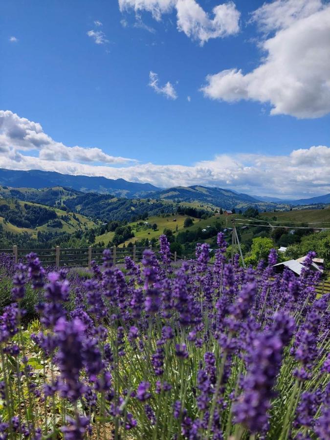 Lavender Valley Perekrestnoye المظهر الخارجي الصورة