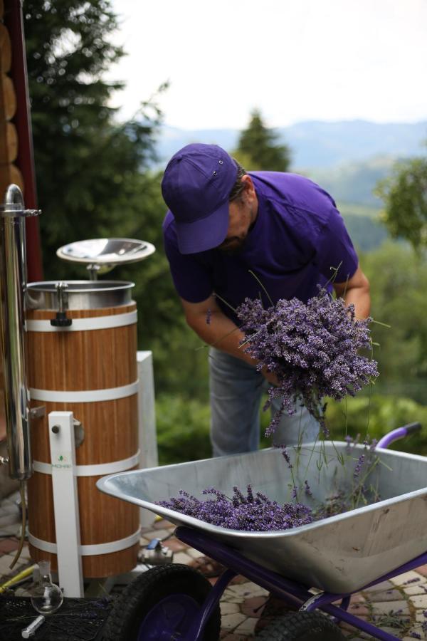 Lavender Valley Perekrestnoye المظهر الخارجي الصورة